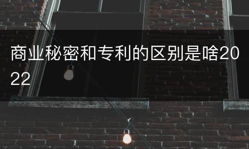 商业秘密和专利的区别是啥2022