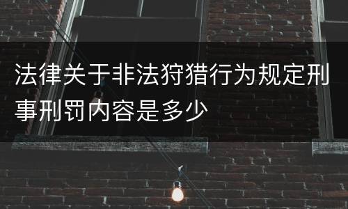 法律关于非法狩猎行为规定刑事刑罚内容是多少