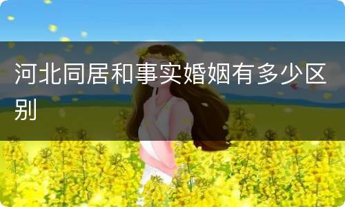 河北同居和事实婚姻有多少区别