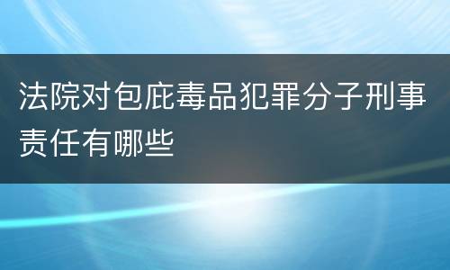 法院对包庇毒品犯罪分子刑事责任有哪些