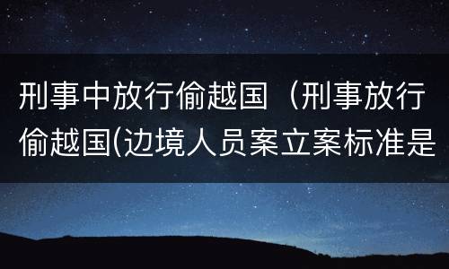 刑事中放行偷越国（刑事放行偷越国(边境人员案立案标准是怎样的）