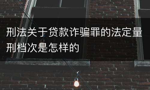 刑法关于贷款诈骗罪的法定量刑档次是怎样的