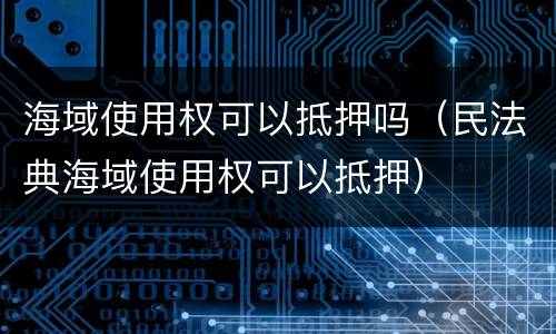 海域使用权可以抵押吗（民法典海域使用权可以抵押）