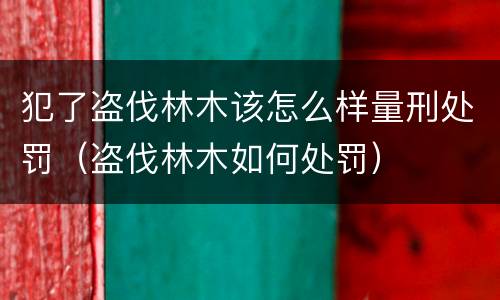 犯了盗伐林木该怎么样量刑处罚（盗伐林木如何处罚）