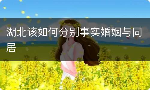 湖北该如何分别事实婚姻与同居