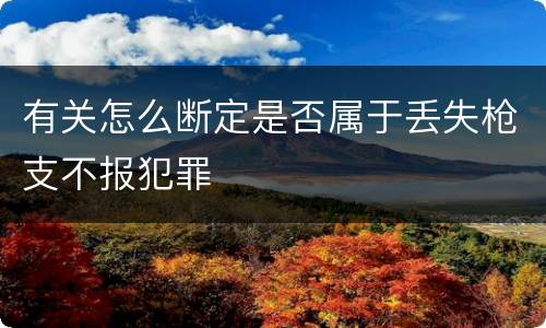 有关怎么断定是否属于丢失枪支不报犯罪