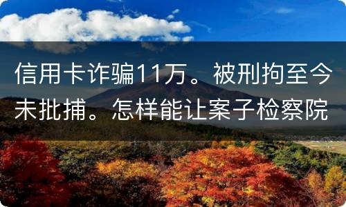 信用卡诈骗11万。被刑拘至今未批捕。怎样能让案子检察院就结了。不用再等法院宣判