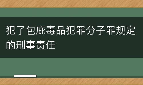 犯了包庇毒品犯罪分子罪规定的刑事责任