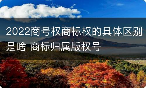 2022商号权商标权的具体区别是啥 商标归属版权号