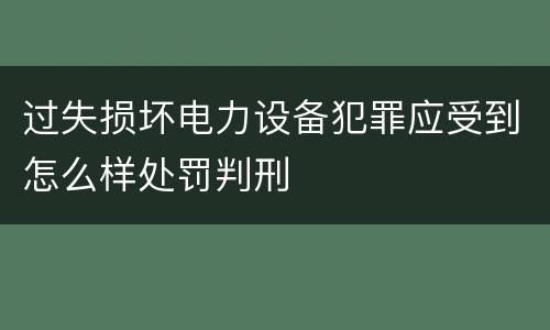 过失损坏电力设备犯罪应受到怎么样处罚判刑