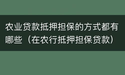 农业贷款抵押担保的方式都有哪些（在农行抵押担保贷款）