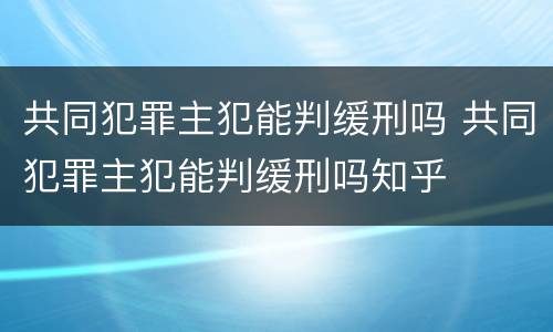 共同犯罪主犯能判缓刑吗 共同犯罪主犯能判缓刑吗知乎