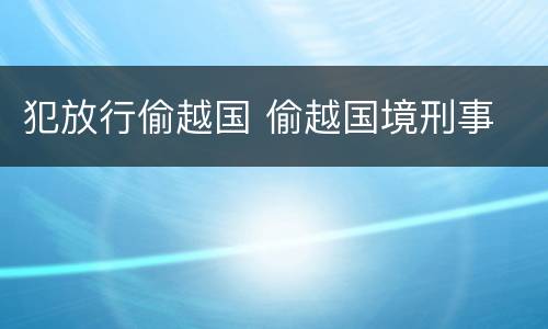 犯放行偷越国 偷越国境刑事