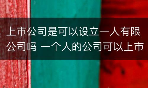 上市公司是可以设立一人有限公司吗 一个人的公司可以上市吗