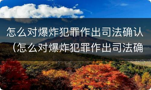 怎么对爆炸犯罪作出司法确认（怎么对爆炸犯罪作出司法确认决定）