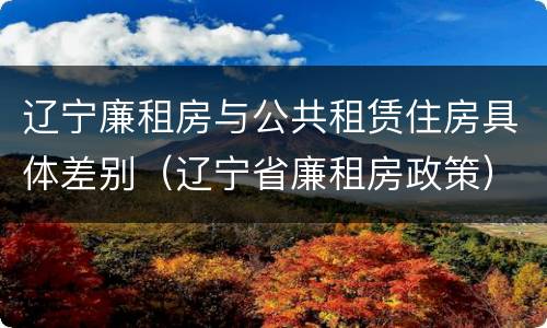 辽宁廉租房与公共租赁住房具体差别（辽宁省廉租房政策）