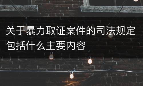 关于暴力取证案件的司法规定包括什么主要内容