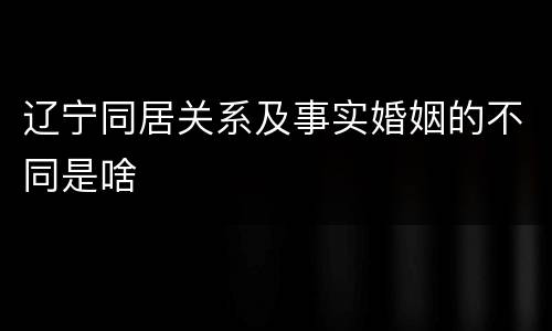 辽宁同居关系及事实婚姻的不同是啥