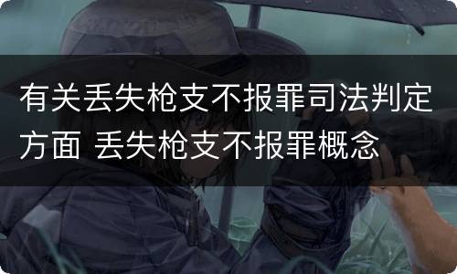 有关丢失枪支不报罪司法判定方面 丢失枪支不报罪概念