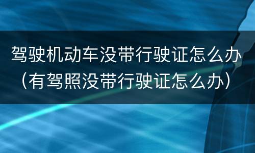 驾驶机动车没带行驶证怎么办（有驾照没带行驶证怎么办）