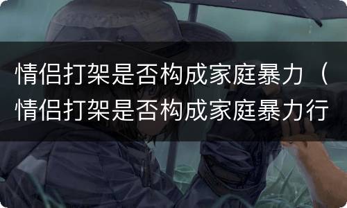 情侣打架是否构成家庭暴力（情侣打架是否构成家庭暴力行为）