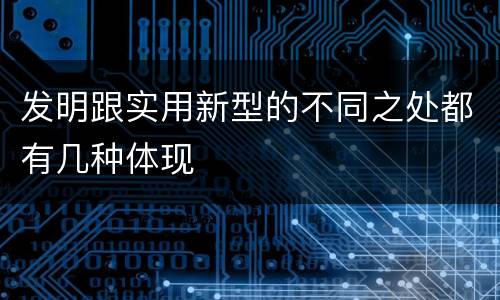 发明跟实用新型的不同之处都有几种体现