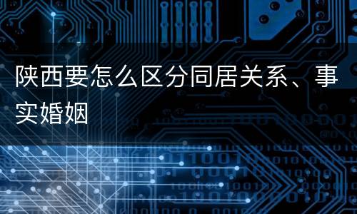 陕西要怎么区分同居关系、事实婚姻