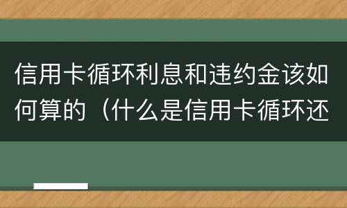 信用卡循环利息和违约金该如何算的（什么是信用卡循环还款）