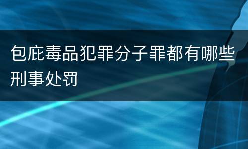 包庇毒品犯罪分子罪都有哪些刑事处罚