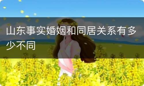 山东事实婚姻和同居关系有多少不同