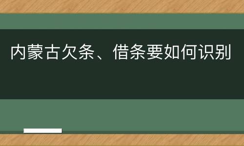 内蒙古欠条、借条要如何识别