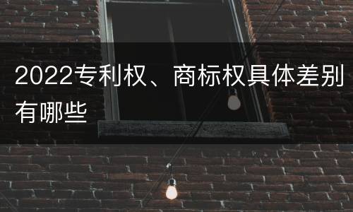 2022专利权、商标权具体差别有哪些