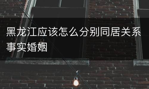 黑龙江应该怎么分别同居关系事实婚姻