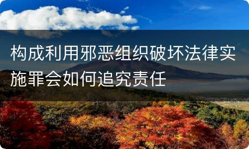 构成利用邪恶组织破坏法律实施罪会如何追究责任