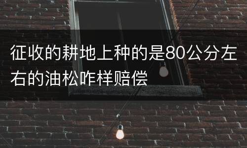 征收的耕地上种的是80公分左右的油松咋样赔偿