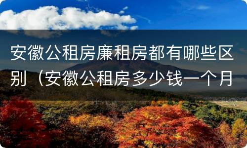 安徽公租房廉租房都有哪些区别（安徽公租房多少钱一个月）