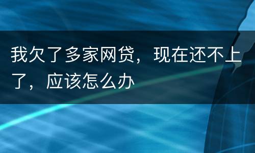 我欠了多家网贷，现在还不上了，应该怎么办