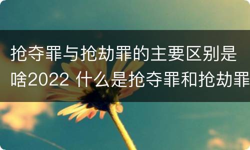 抢夺罪与抢劫罪的主要区别是啥2022 什么是抢夺罪和抢劫罪