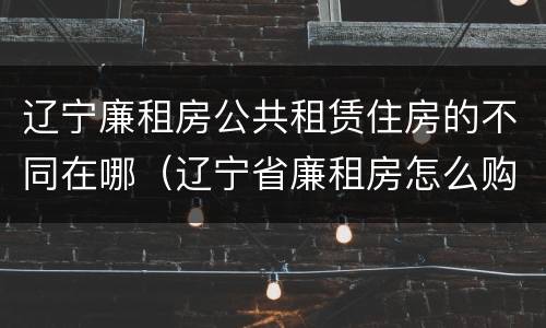 辽宁廉租房公共租赁住房的不同在哪（辽宁省廉租房怎么购买产权）