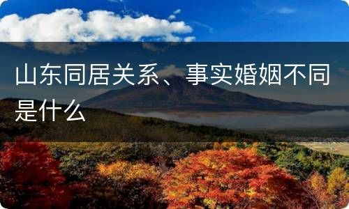 山东同居关系、事实婚姻不同是什么