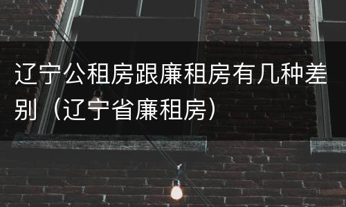 辽宁公租房跟廉租房有几种差别（辽宁省廉租房）