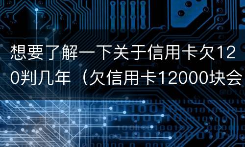 想要了解一下关于信用卡欠120判几年（欠信用卡12000块会被起诉吗）