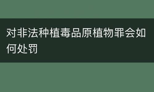 对非法种植毒品原植物罪会如何处罚