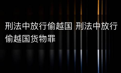 刑法中放行偷越国 刑法中放行偷越国货物罪