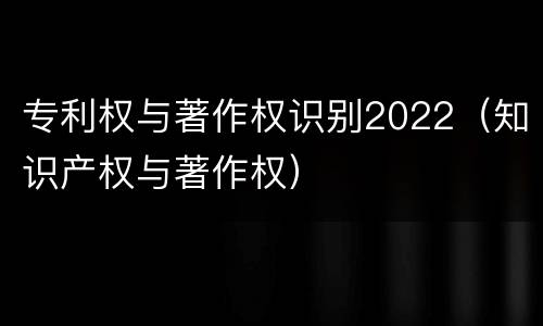 专利权与著作权识别2022（知识产权与著作权）