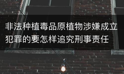 非法种植毒品原植物涉嫌成立犯罪的要怎样追究刑事责任