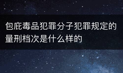 包庇毒品犯罪分子犯罪规定的量刑档次是什么样的