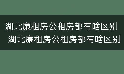 湖北廉租房公租房都有啥区别 湖北廉租房公租房都有啥区别啊