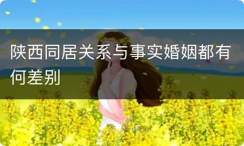 陕西同居关系与事实婚姻都有何差别