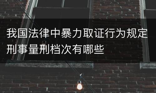 我国法律中暴力取证行为规定刑事量刑档次有哪些